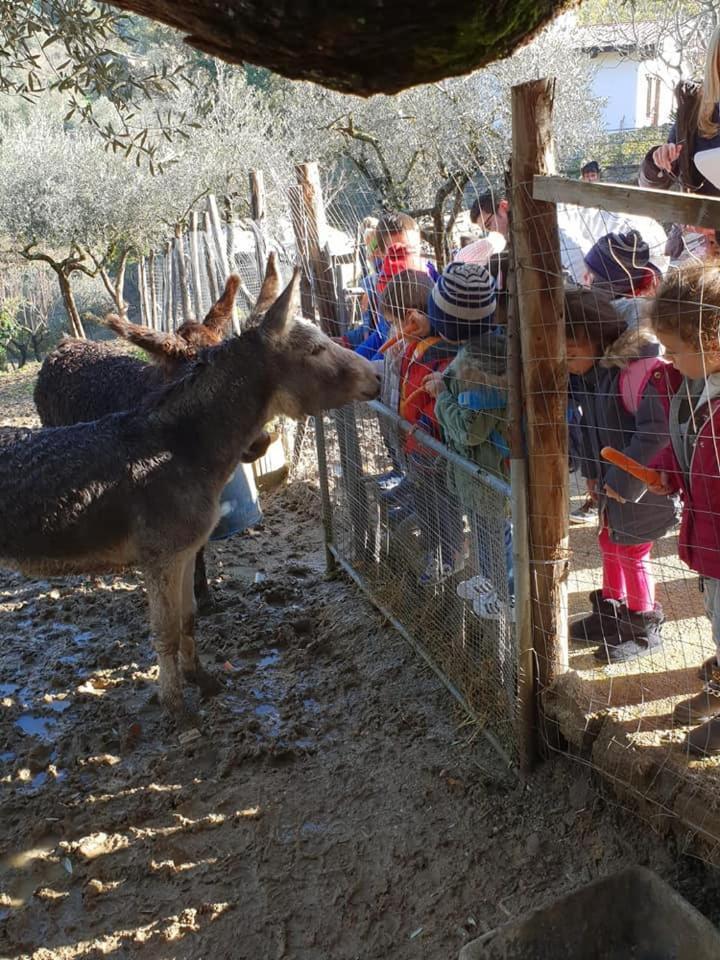 Tenuta Martino Aquara Екстер'єр фото