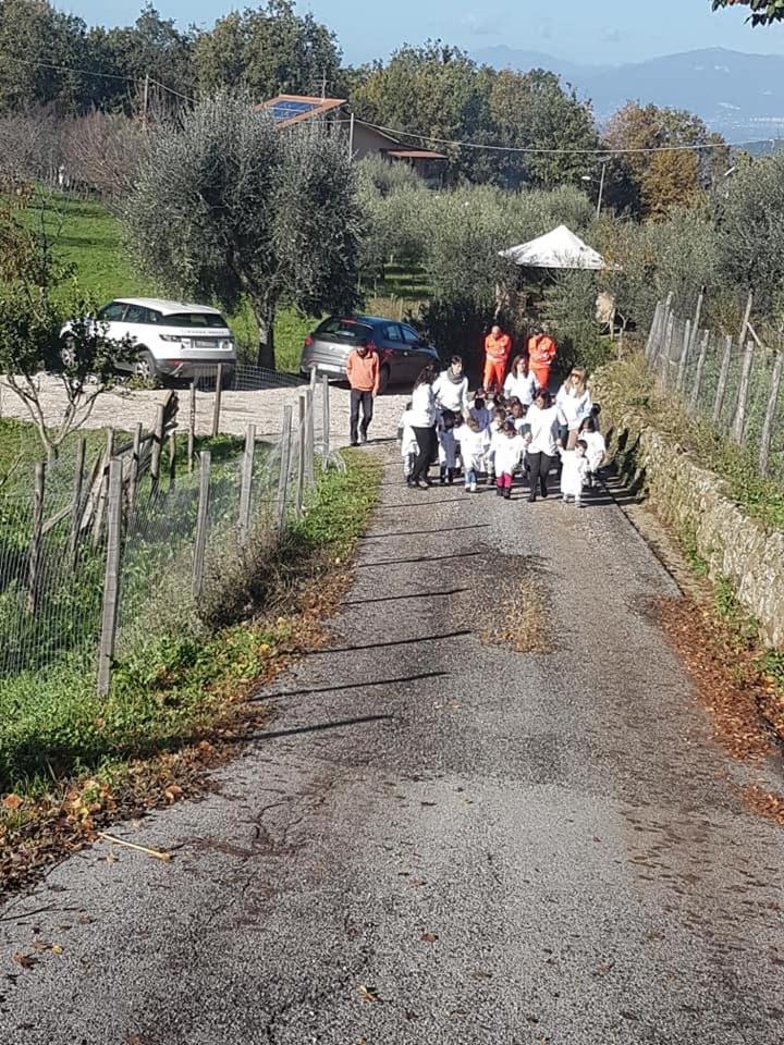 Tenuta Martino Aquara Екстер'єр фото